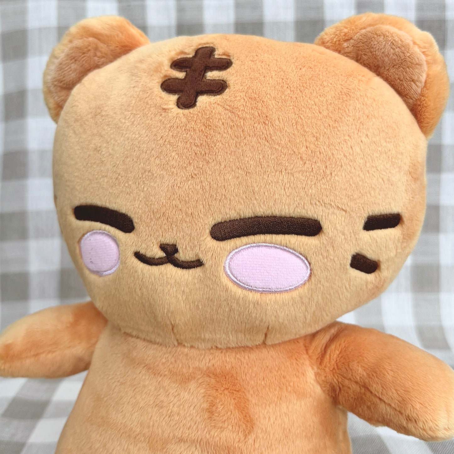 seventeen hoshi hochi 30 cm doll